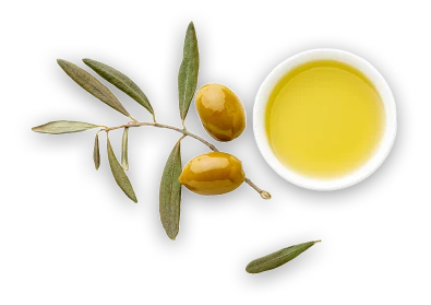 Olive Oil | Olive Oil Extract