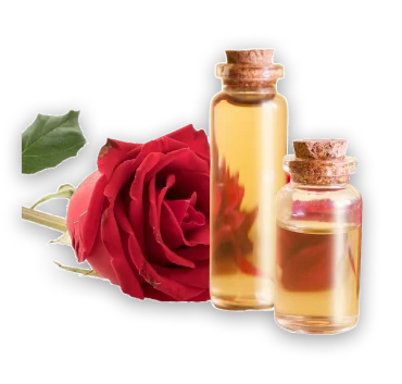 Saparya Vedic essential oils | Red Rose.