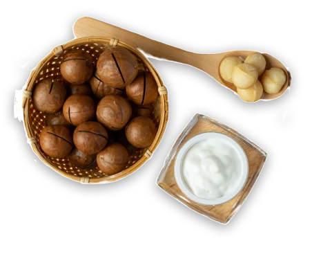 Shea Butter | Macadamia Nuts | Nuts