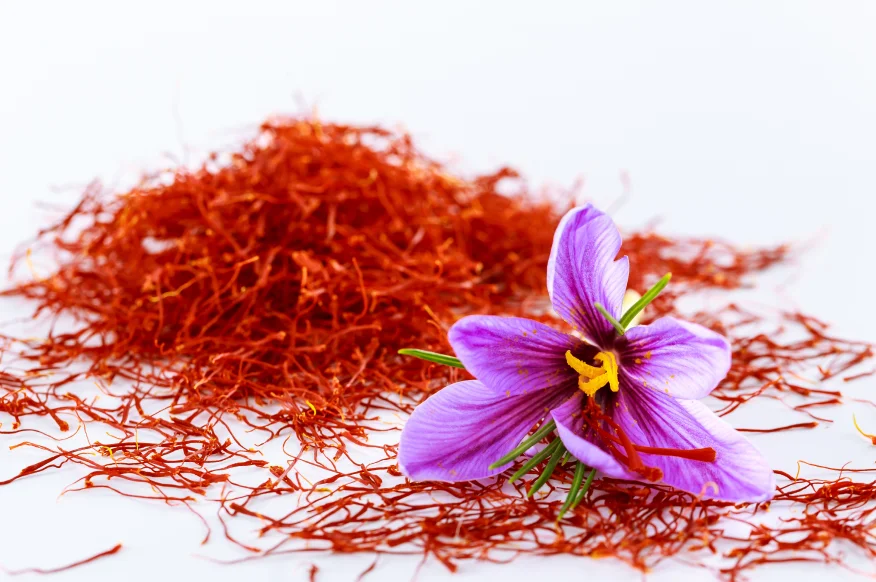 Saffron Flower | Saffron Product | Saffron Petals | Kashmiri Saffron